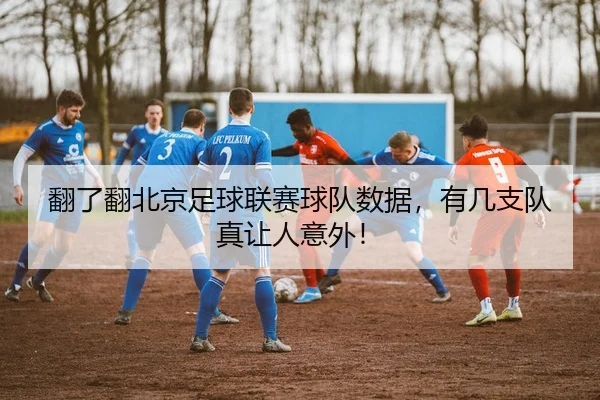 翻了翻北京足球联赛球队数据，有几支队真让人意外！