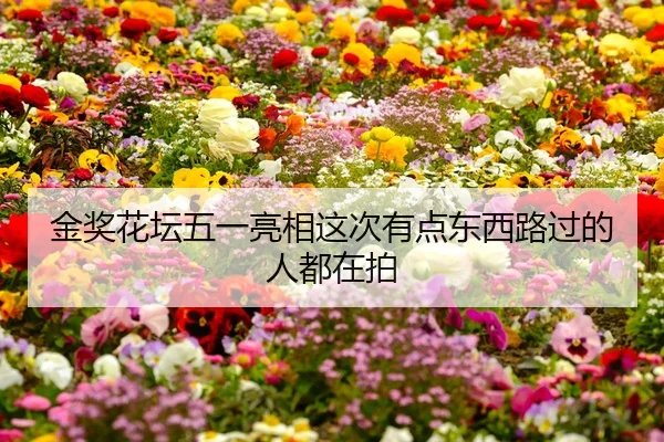 jin-jiang-hua-tan-wu-yi-liang-xiang-zhe-ci-you-dian-dong-xi-lu-guo-de-ren-dou-zai-pai-2-936.jpg