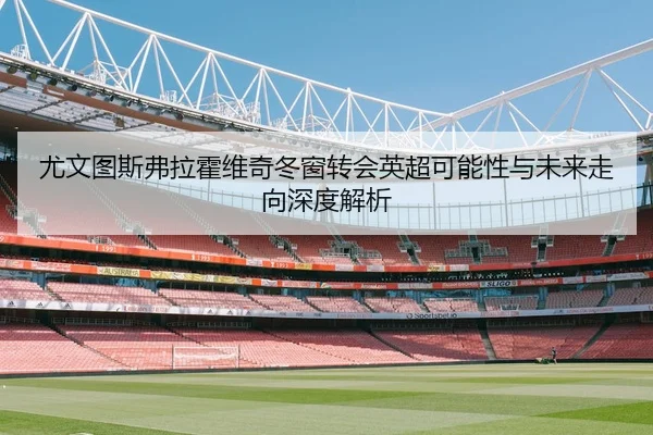 尤文图斯弗拉霍维奇冬窗转会英超可能性与未来走向深度解析