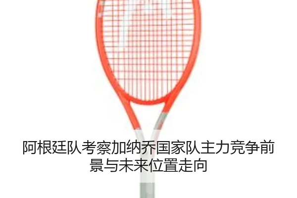 阿根廷队考察加纳乔国家队主力竞争前景与未来位置走向