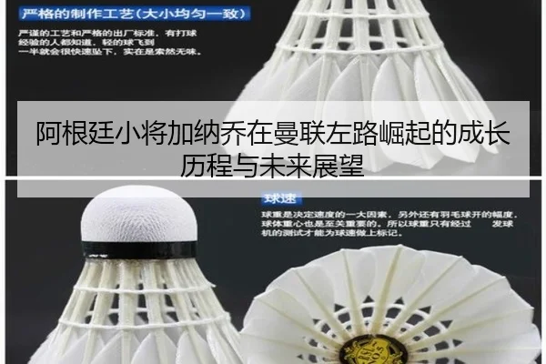 阿根廷小将加纳乔在曼联左路崛起的成长历程与未来展望