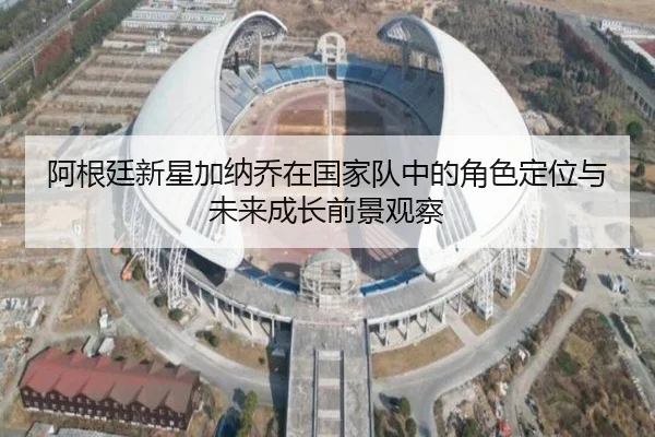 阿根廷新星加纳乔在国家队中的角色定位与未来成长前景观察