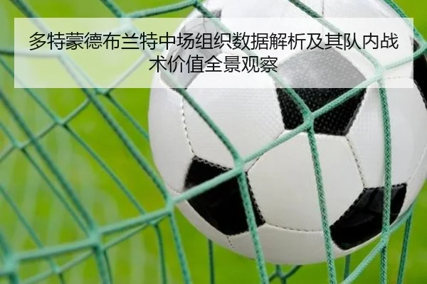 多特蒙德布兰特中场组织数据解析及其队内战术价值全景观察