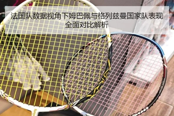 法国队数据视角下姆巴佩与格列兹曼国家队表现全面对比解析