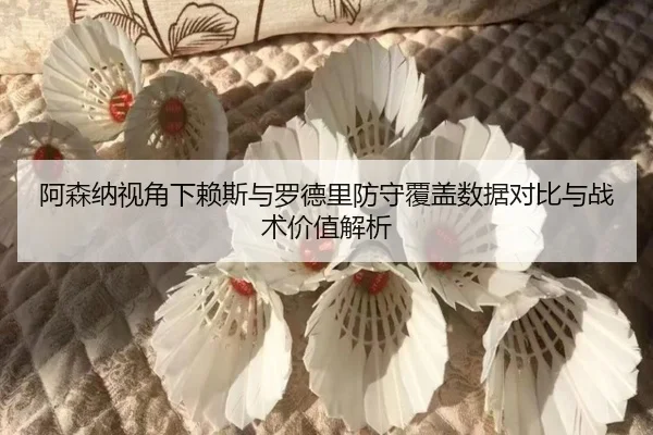 阿森纳视角下赖斯与罗德里防守覆盖数据对比与战术价值解析